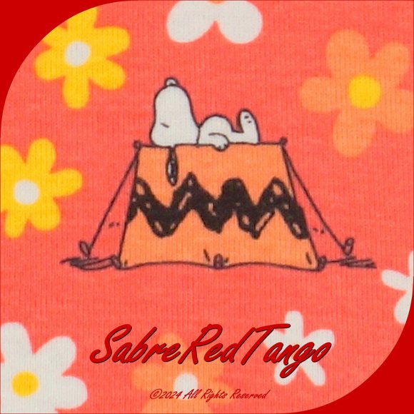 NWT Hanna Andersson Organic Long Johns Pajamas Peanuts Snoopy Camp 110 5 - Picture 3 of 4